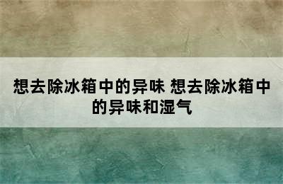 想去除冰箱中的异味 想去除冰箱中的异味和湿气